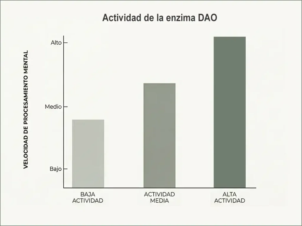 Gráfica correlación directa entre una alta actividad de la enzima DAO en la microbiota y un mayor rendimiento cognitivo.